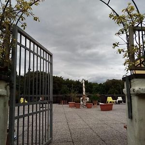 Binario 5
